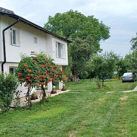 Casa Pandrea Guest House Cârțișoara Exterior photo
