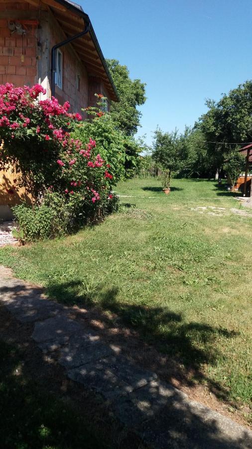Casa Pandrea Guest House Cârțișoara Exterior photo