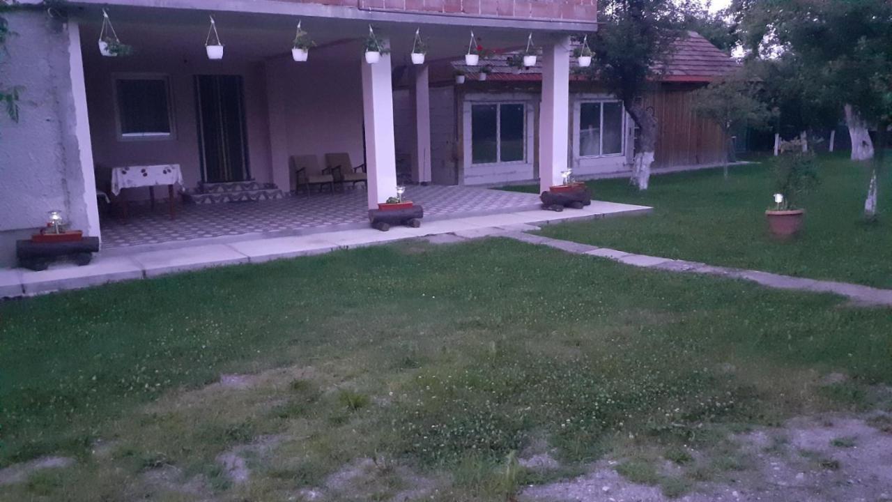 Casa Pandrea Guest House Cârțișoara Exterior photo