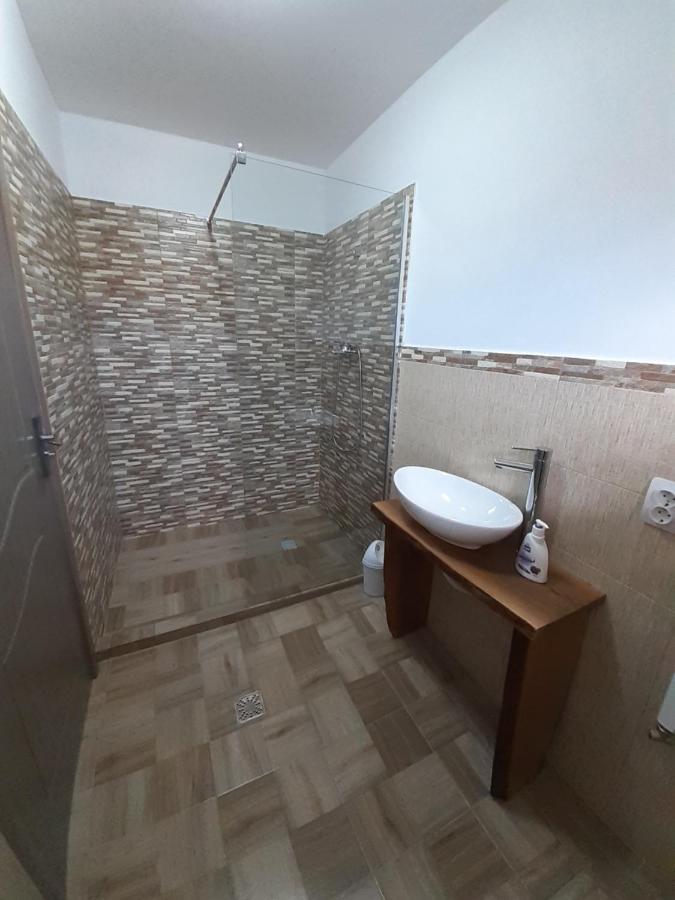 Casa Pandrea Guest House Cârțișoara Exterior photo