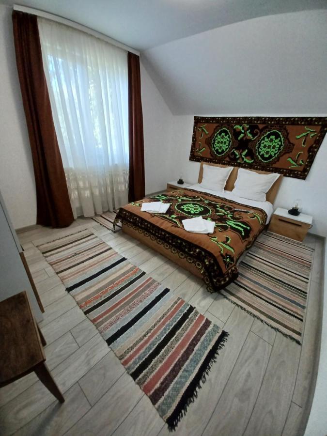 Casa Pandrea Guest House Cârțișoara Exterior photo