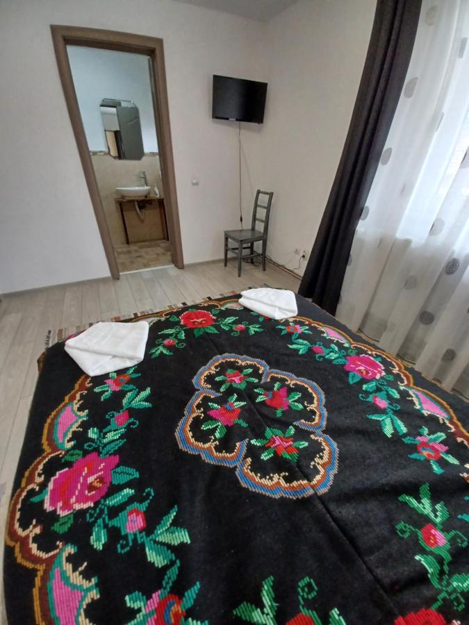 Casa Pandrea Guest House Cârțișoara Exterior photo