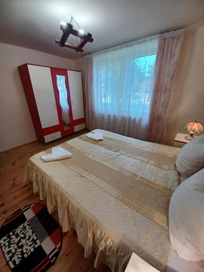Casa Pandrea Guest House Cârțișoara Exterior photo