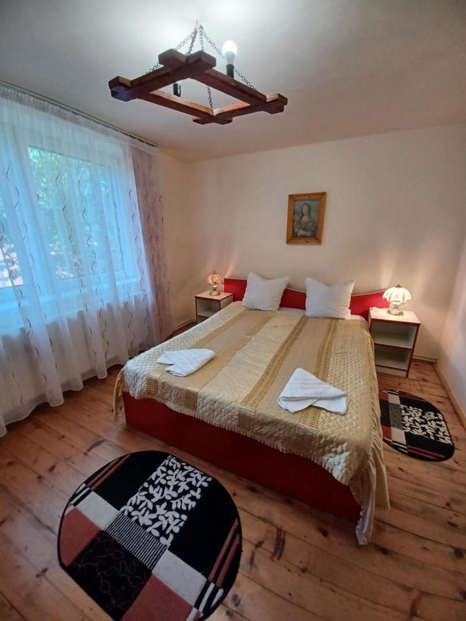 Casa Pandrea Guest House Cârțișoara Exterior photo