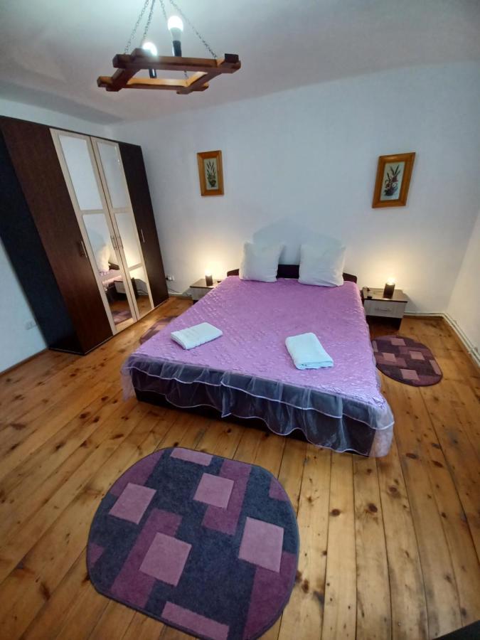 Casa Pandrea Guest House Cârțișoara Exterior photo