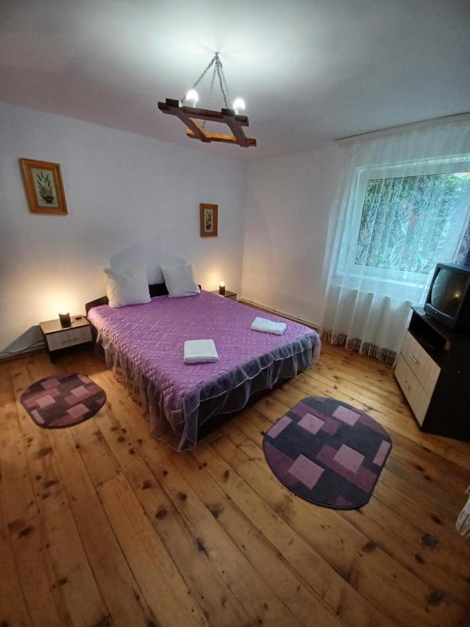 Casa Pandrea Guest House Cârțișoara Exterior photo