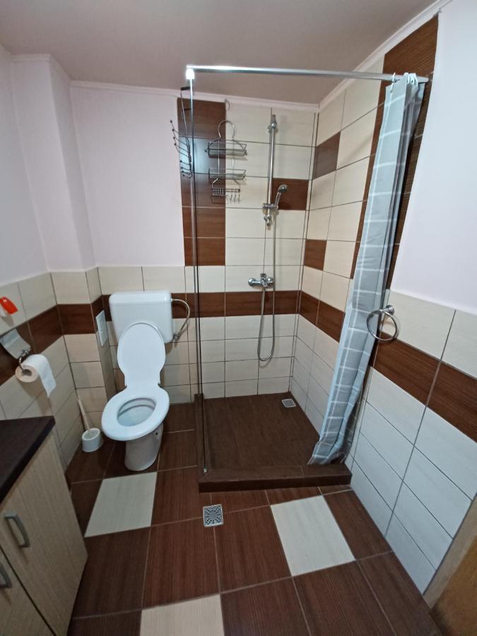 Casa Pandrea Guest House Cârțișoara Exterior photo