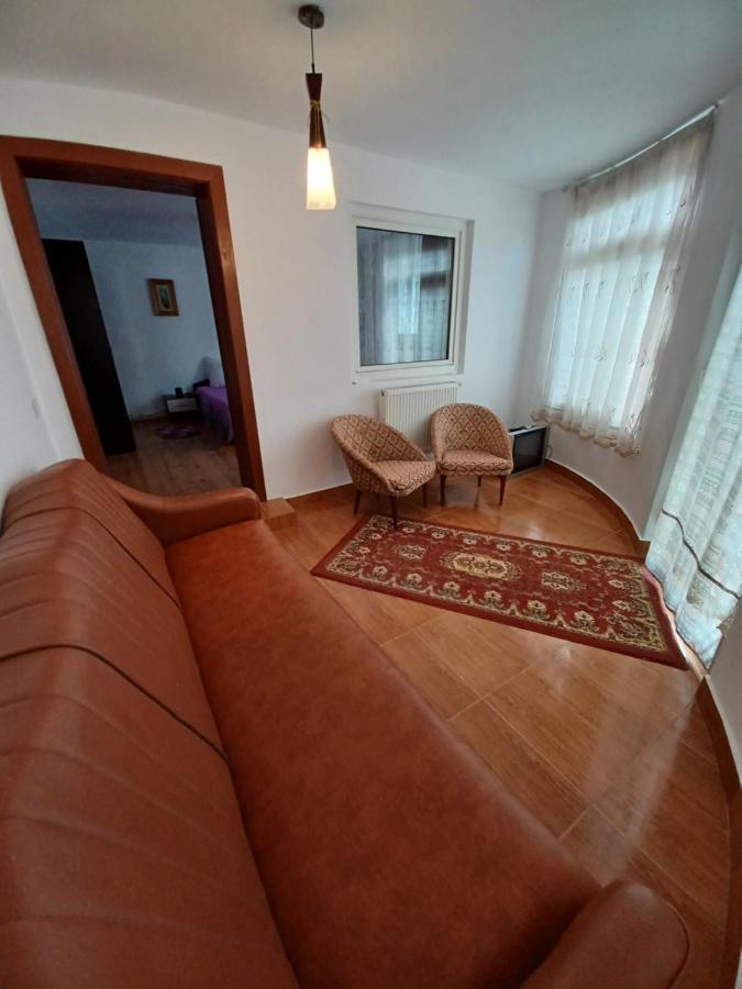 Casa Pandrea Guest House Cârțișoara Exterior photo