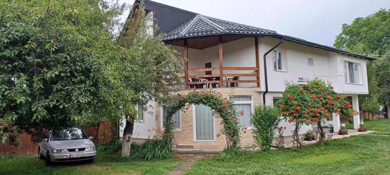 Casa Pandrea Guest House Cârțișoara Exterior photo