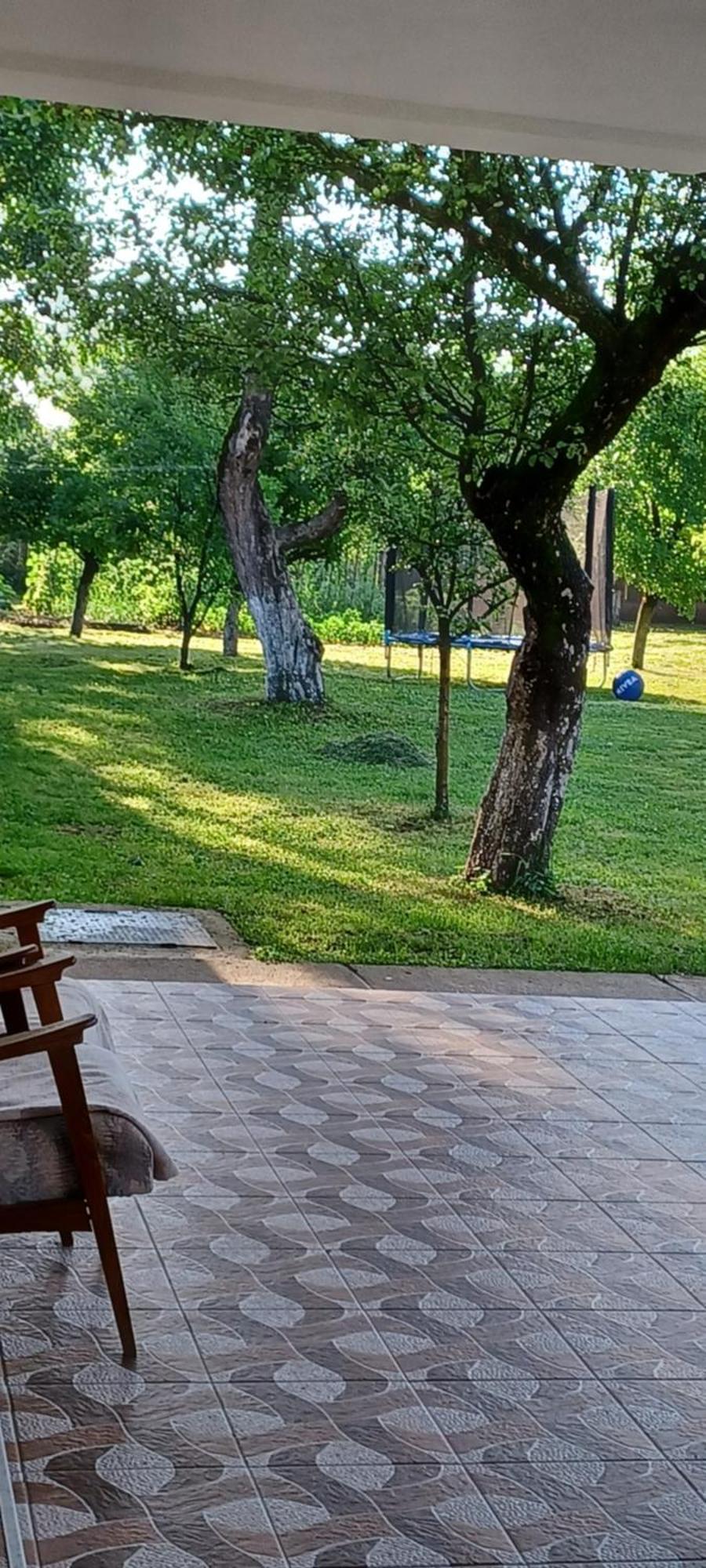 Casa Pandrea Guest House Cârțișoara Exterior photo