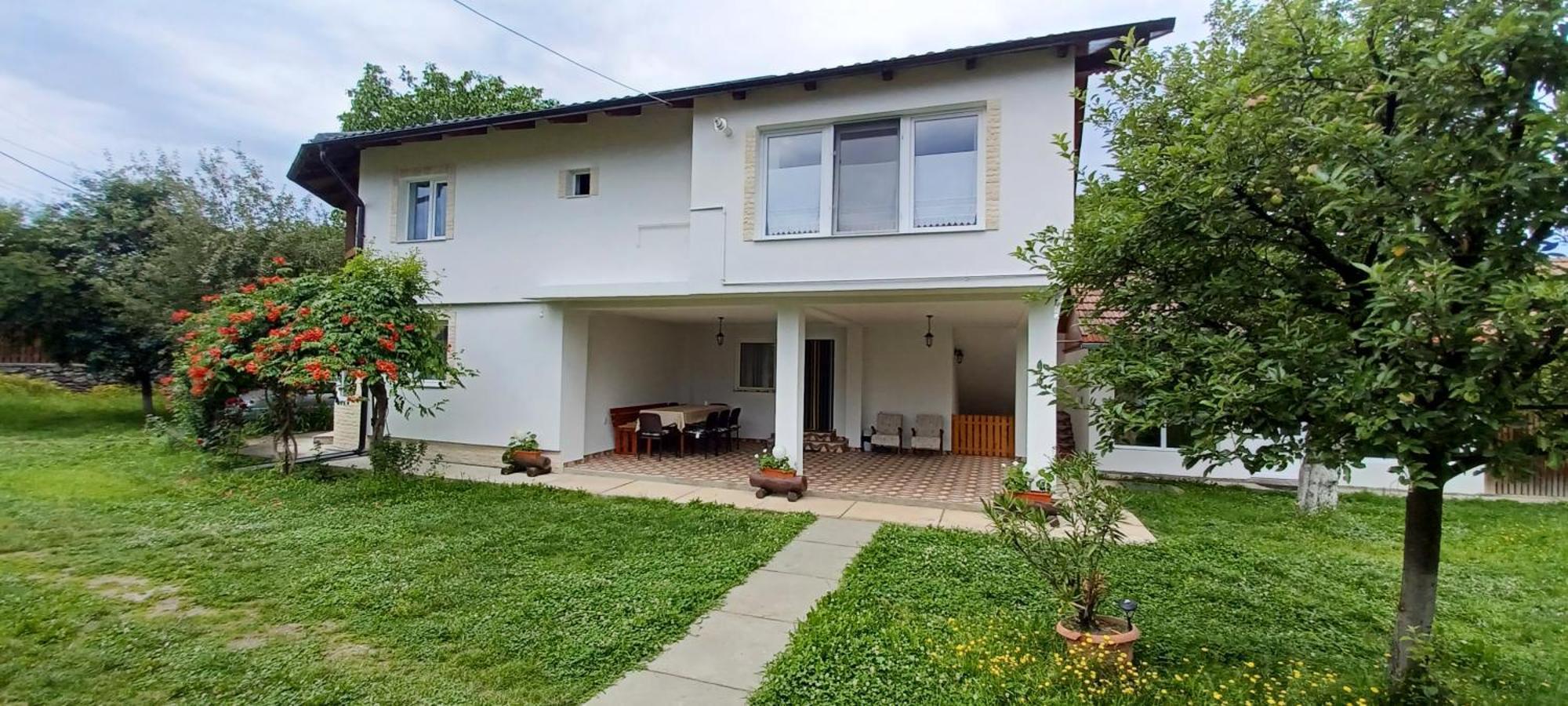 Casa Pandrea Guest House Cârțișoara Exterior photo