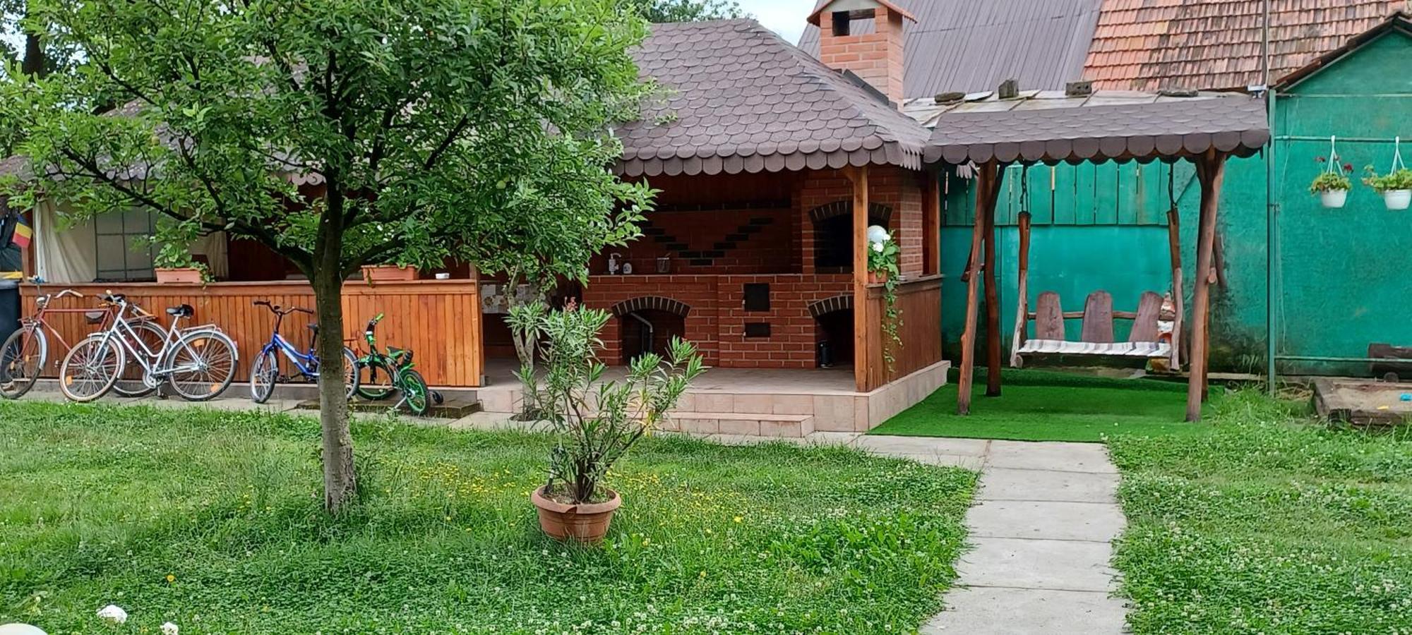 Casa Pandrea Guest House Cârțișoara Exterior photo