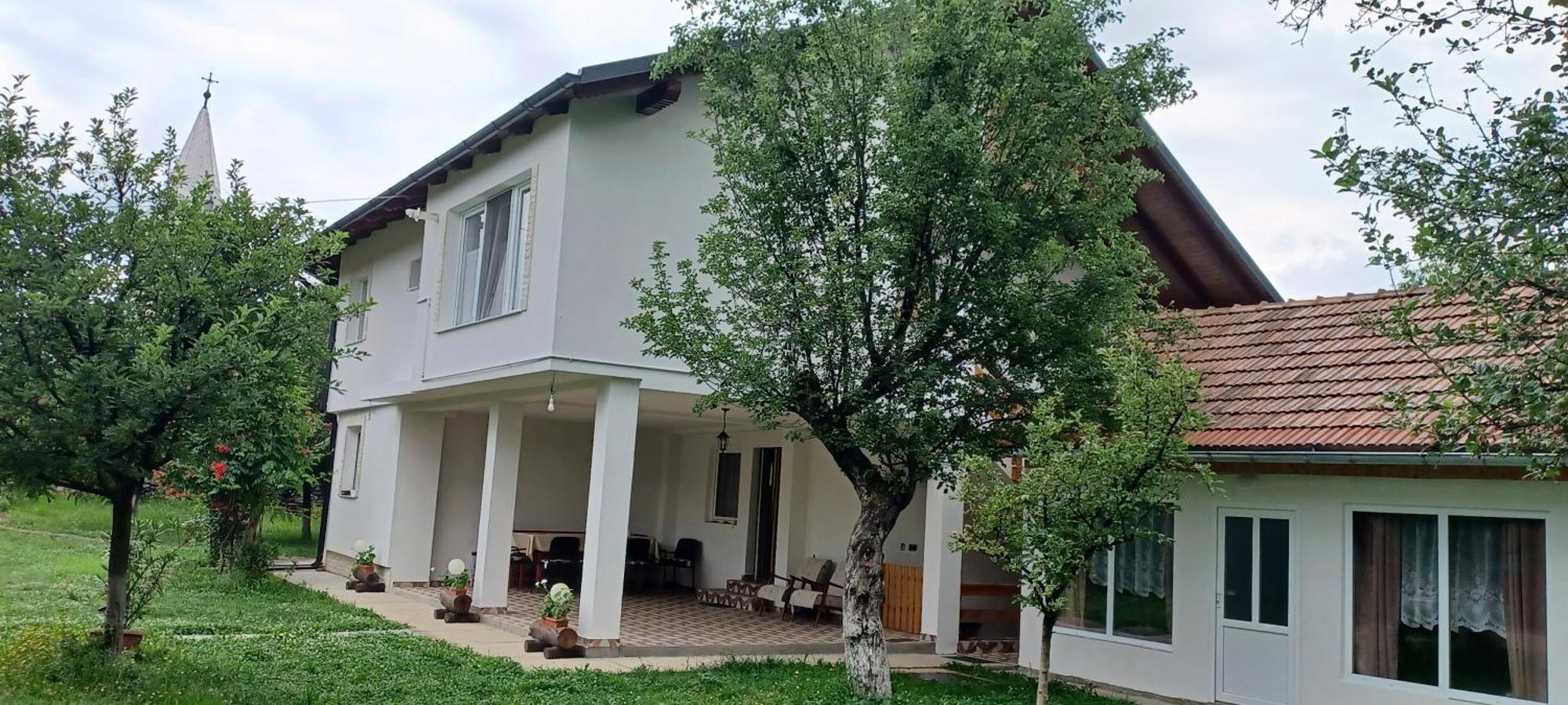 Casa Pandrea Guest House Cârțișoara Exterior photo